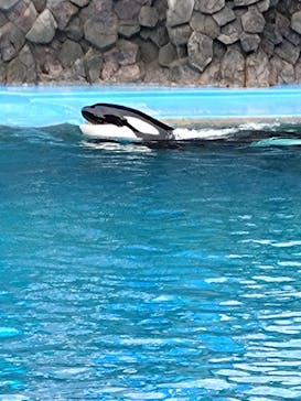 名古屋港水族館に投稿された画像（2023/2/19）