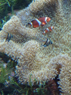 名古屋港水族館に投稿された画像（2023/2/19）