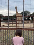 東武動物公園に投稿された画像（2023/2/19）