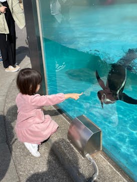 東武動物公園に投稿された画像（2023/2/19）