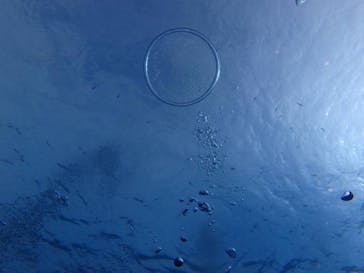 リーファーズに投稿された画像（2023/2/19）