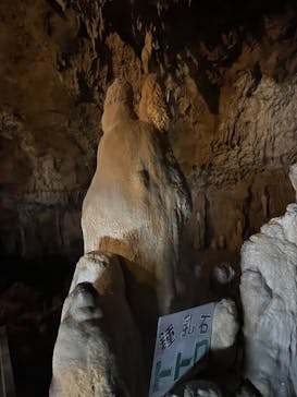 石垣島鍾乳洞に投稿された画像（2023/2/19）