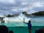 しながわ水族館に投稿された画像（2023/2/19）
