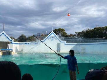 しながわ水族館に投稿された画像（2023/2/19）