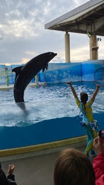 新江ノ島水族館に投稿された画像（2023/2/19）