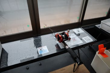 NaturaBaseに投稿された画像（2023/2/19）