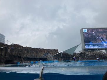 名古屋港水族館に投稿された画像（2023/2/19）