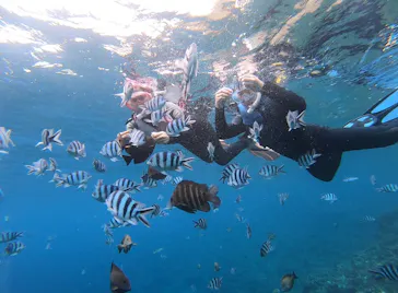 武藤潜水に投稿された画像（2023/2/19）