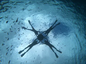 武藤潜水に投稿された画像（2023/2/19）