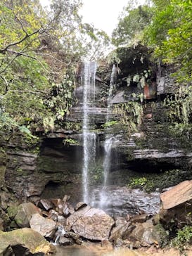 西表島カヌー旅行人グッドアウトドアに投稿された画像（2023/2/19）