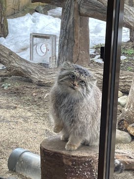 那須どうぶつ王国に投稿された画像（2023/2/19）