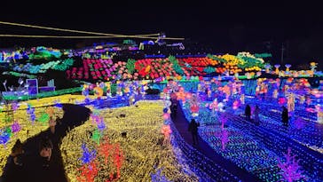 伊豆ぐらんぱる公園に投稿された画像（2023/2/19）