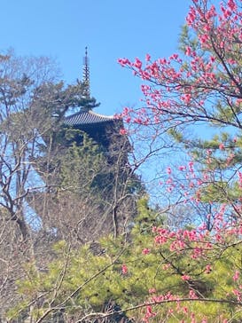 三溪園に投稿された画像（2023/2/19）