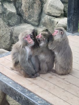 沖縄こどもの国に投稿された画像（2023/2/19）