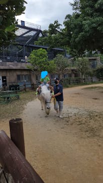 沖縄こどもの国に投稿された画像（2023/2/19）