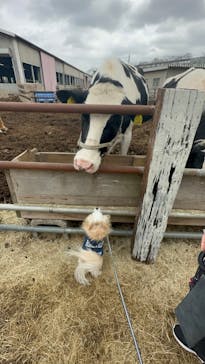 成田ゆめ牧場に投稿された画像（2023/2/19）