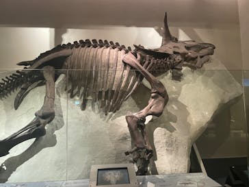 国立科学博物館に投稿された画像（2023/2/19）