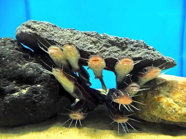 マリンワールド海の中道に投稿された画像（2023/2/19）