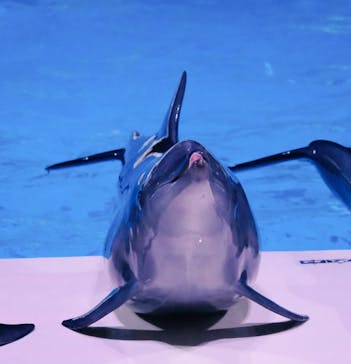 マリンワールド海の中道に投稿された画像（2023/2/19）