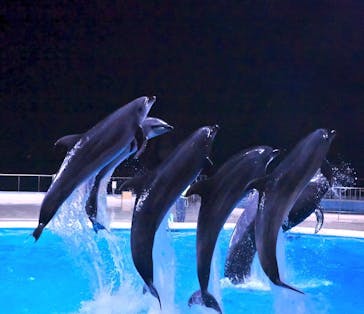 マリンワールド海の中道に投稿された画像（2023/2/19）