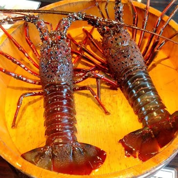 鳥羽　海鮮料理　屋形船　おきたに投稿された画像（2023/2/19）