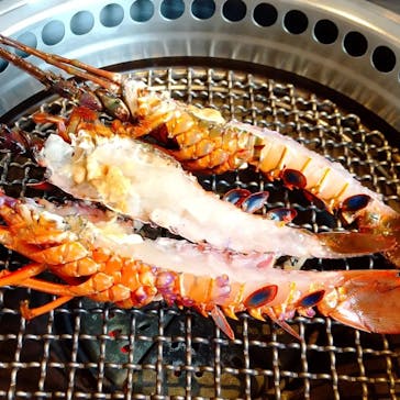 鳥羽　海鮮料理　屋形船　おきたに投稿された画像（2023/2/19）