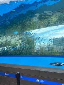 サンシャイン水族館に投稿された画像（2023/2/19）