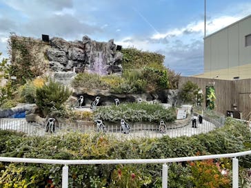 サンシャイン水族館に投稿された画像（2023/2/19）