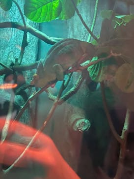 カワスイ 川崎⽔族館に投稿された画像（2023/2/19）