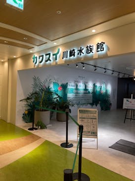 カワスイ 川崎⽔族館に投稿された画像（2023/2/19）