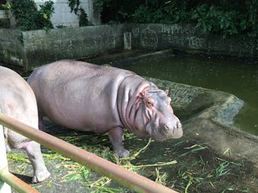 沖縄こどもの国に投稿された画像（2023/2/19）