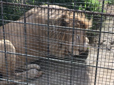 沖縄こどもの国に投稿された画像（2023/2/19）