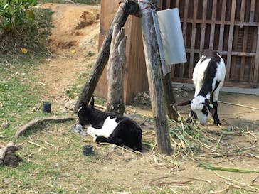 沖縄こどもの国に投稿された画像（2023/2/19）
