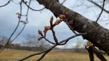 成田ゆめ牧場に投稿された画像（2023/2/20）