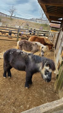 成田ゆめ牧場に投稿された画像（2023/2/20）