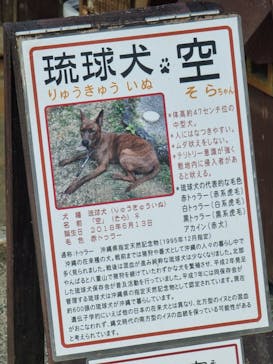 おきなわワールドに投稿された画像（2023/2/20）