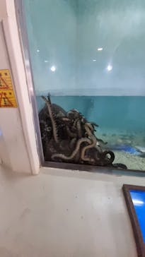 おきなわワールドに投稿された画像（2023/2/20）