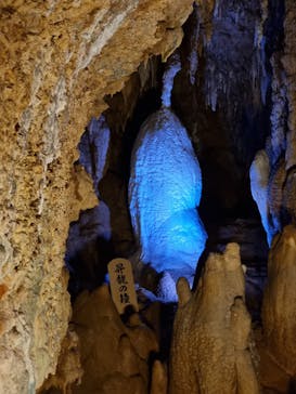 おきなわワールドに投稿された画像（2023/2/20）