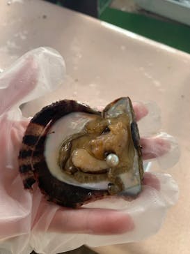 真珠工房 真珠の里に投稿された画像（2022/10/30）