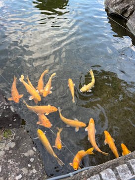 土肥金山に投稿された画像（2023/2/20）