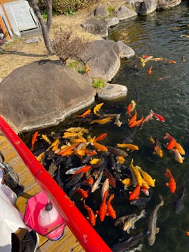 土肥金山に投稿された画像（2023/2/20）