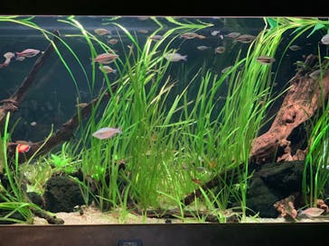 カワスイ 川崎⽔族館に投稿された画像（2023/2/20）