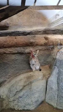 神戸どうぶつ王国に投稿された画像（2023/2/20）