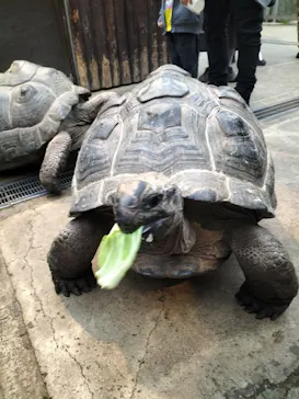 神戸どうぶつ王国に投稿された画像（2023/2/20）