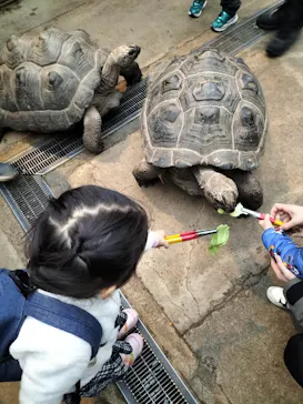 神戸どうぶつ王国に投稿された画像（2023/2/20）