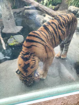 神戸どうぶつ王国に投稿された画像（2023/2/20）