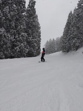 タングラムスキーサーカスに投稿された画像（2023/2/20）