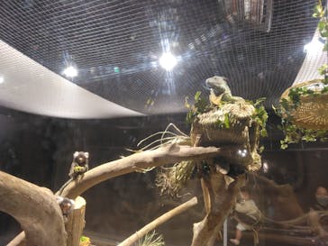 カワスイ 川崎⽔族館に投稿された画像（2023/2/20）