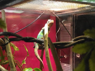 カワスイ 川崎⽔族館に投稿された画像（2023/2/20）