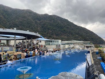 大分マリーンパレス水族館 「うみたまご」に投稿された画像（2023/2/20）